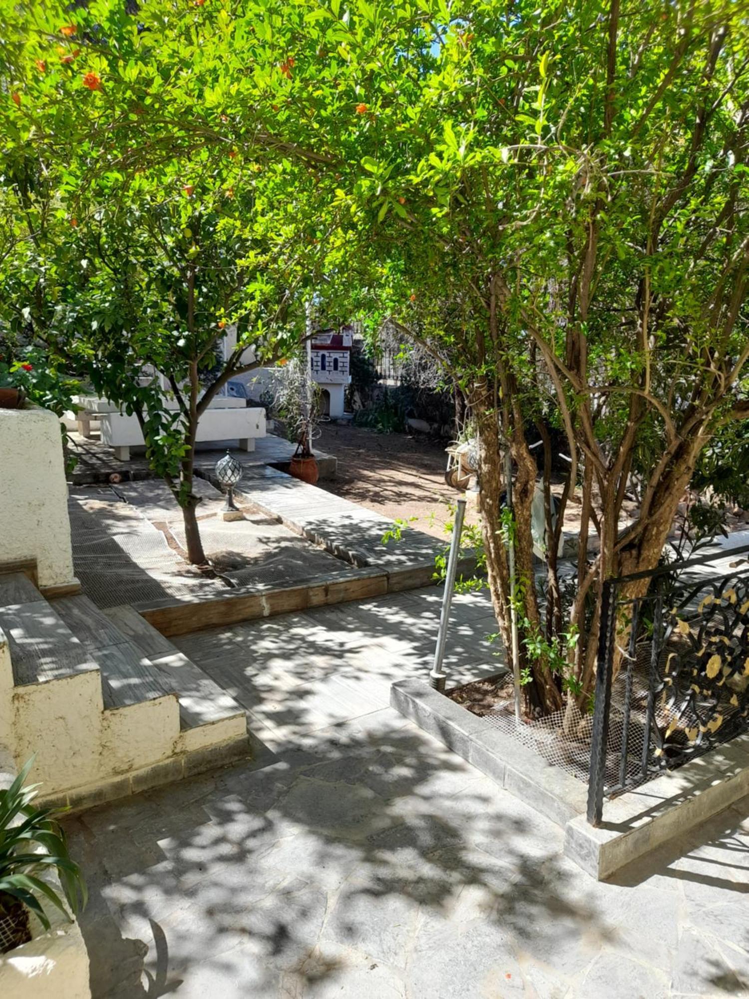 Αίγινα Εξοχική Κατοικία Eginitissa Bagian luar foto